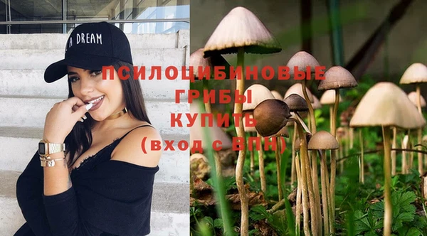 2c-b Балабаново